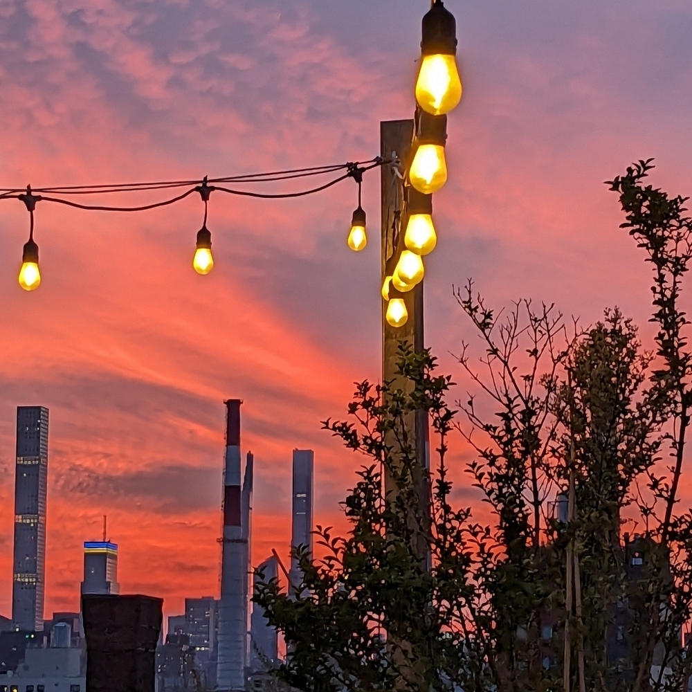 Meet your Posher, Purplez